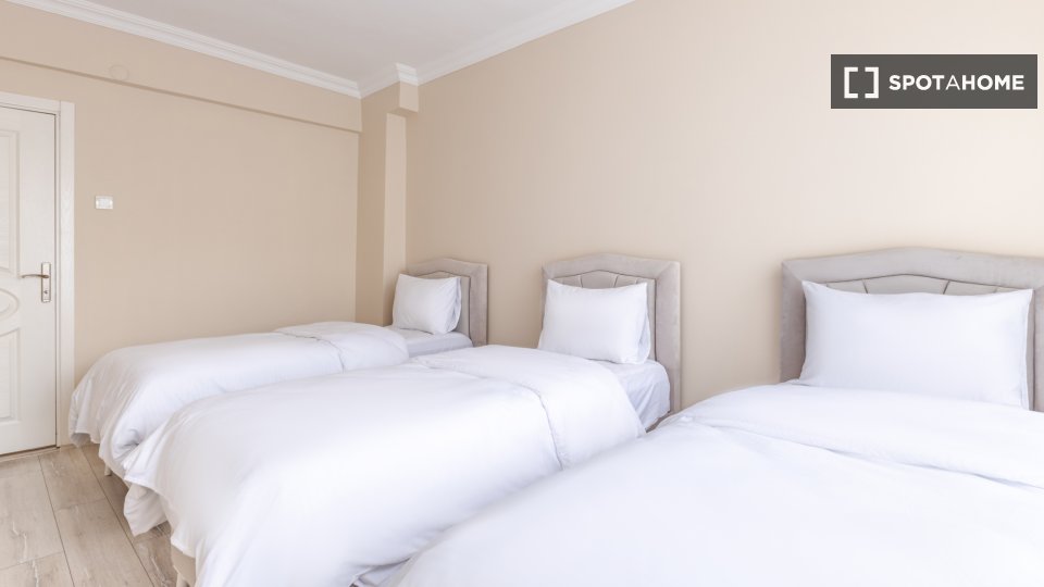 Apartment Istanbul, 1 bed — photo 13