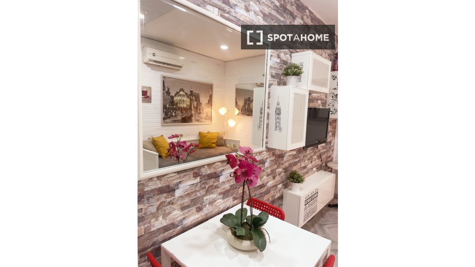Apartment mono Madrid, 25m² — photo 4