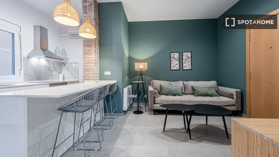 Apartment with 2 bedrooms for rent in Barcelona - in Barcelona