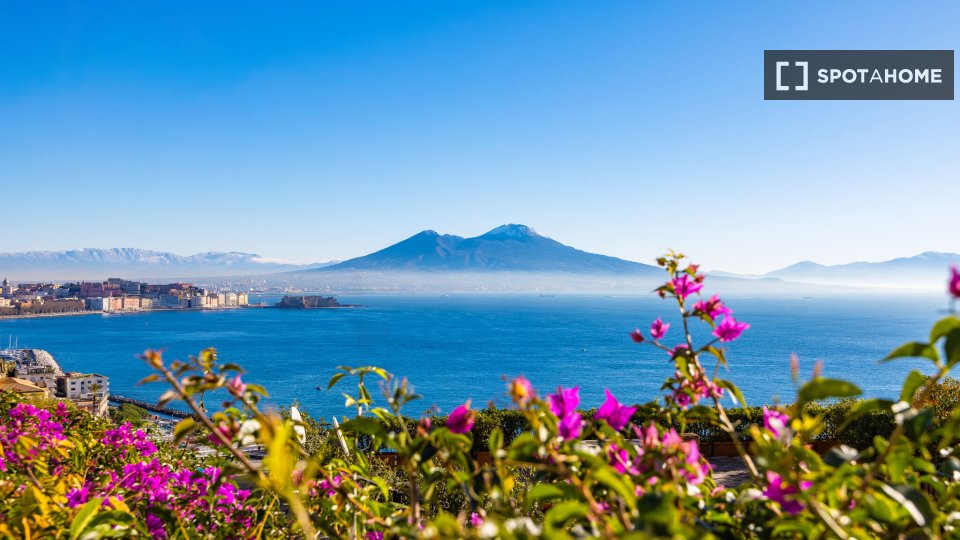 Apartment Naples, 1 bed, 50m² — photo 13