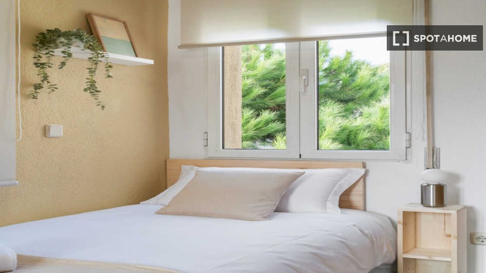 Chambre double Madrid, 34 chambres — photo 7