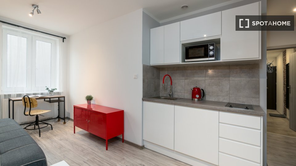 Apartment mono Poznan — photo 9