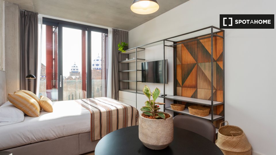 Apartment mono Barcelone — photo 5