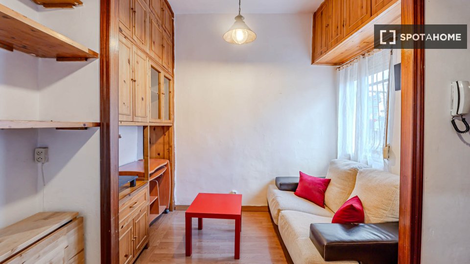 Apartment mono Madrid, 26m² — photo 14