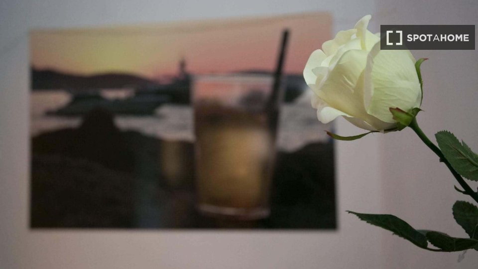 Appartamento Roma, 1 camera, 110m² — foto 3