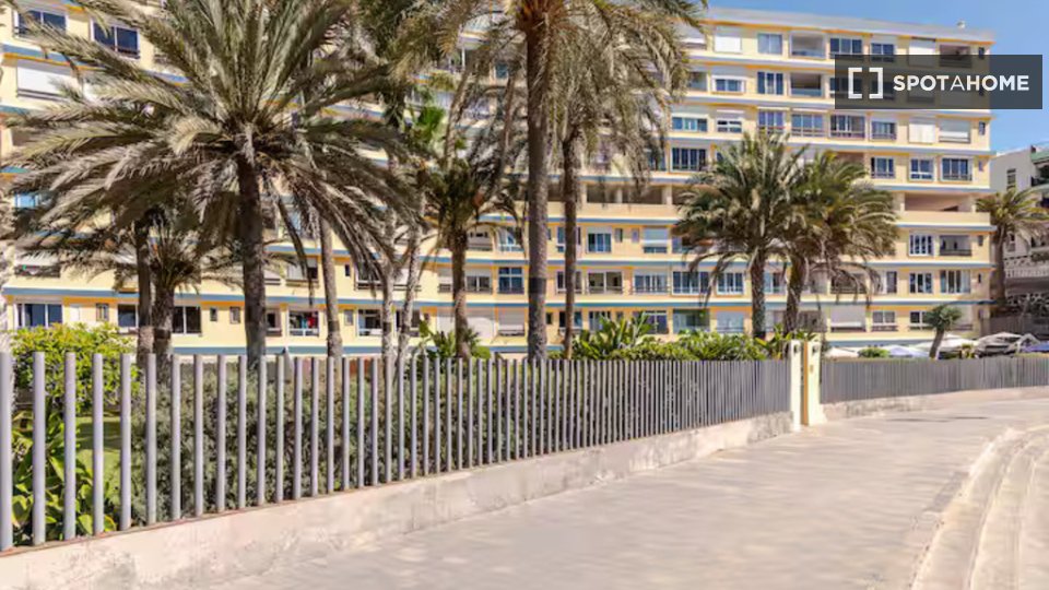 Apartment mono Santa_Cruz_De_Tenerife — photo 36