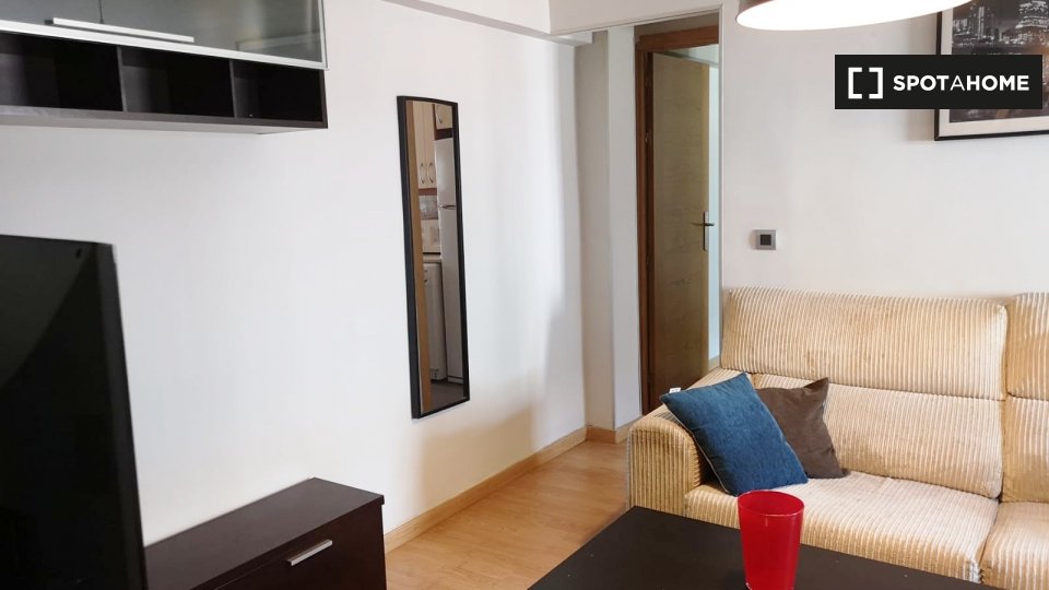 Apartment Madrid, 1 bed, 100m² — photo 7