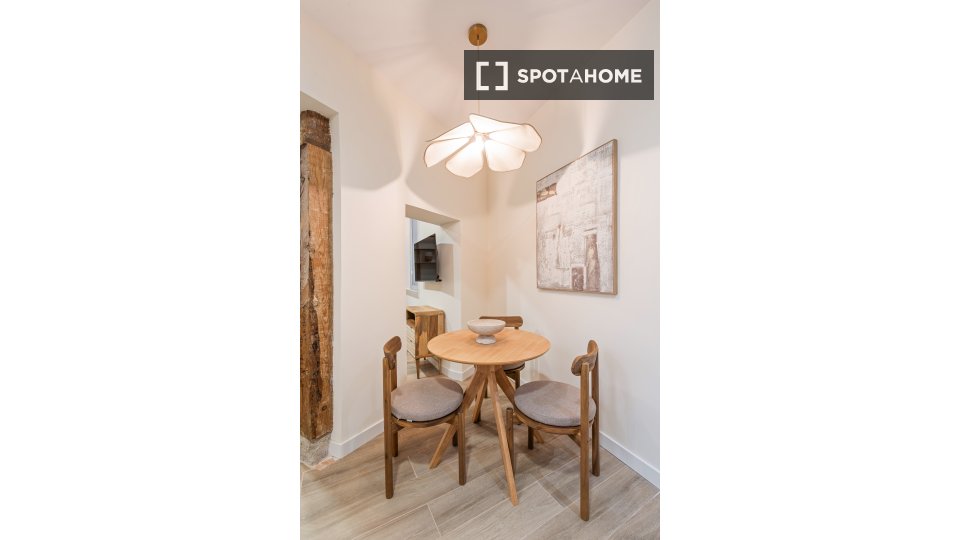 Apartment Madrid, 1 bed, 50m² — photo 13
