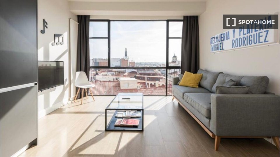 Apartment mono Madrid, 45m² — photo 3
