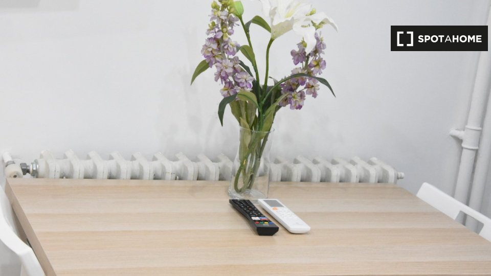 Apartment mono Madrid, 23m² — photo 5