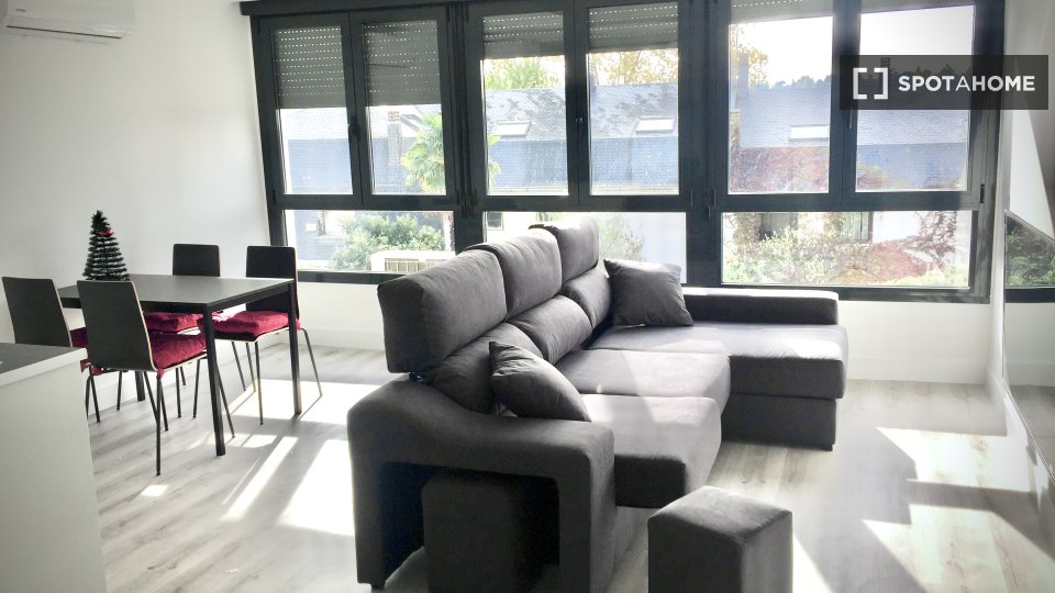 Apartment Madrid, 1 bed — photo 11