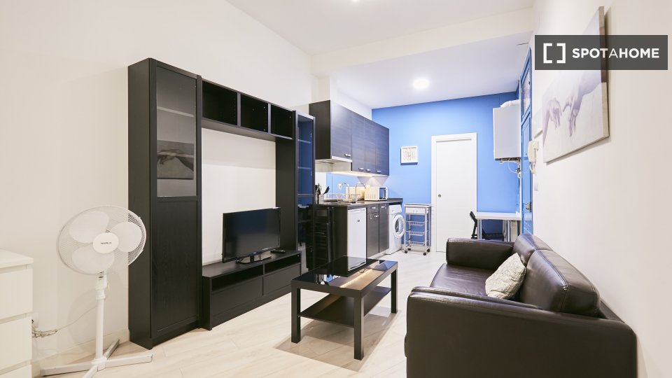 Apartment mono Madrid, 38m² — photo 19
