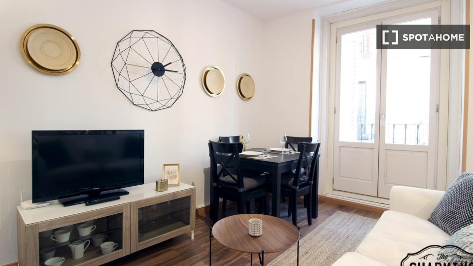 Apartment Madrid, 1 bed — photo 18
