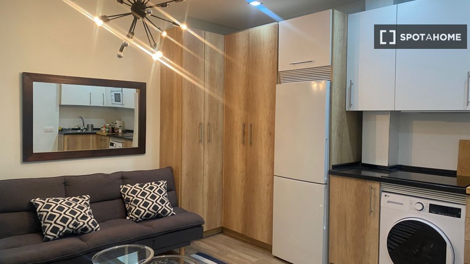Apartment Madrid, 1 bed — photo 18