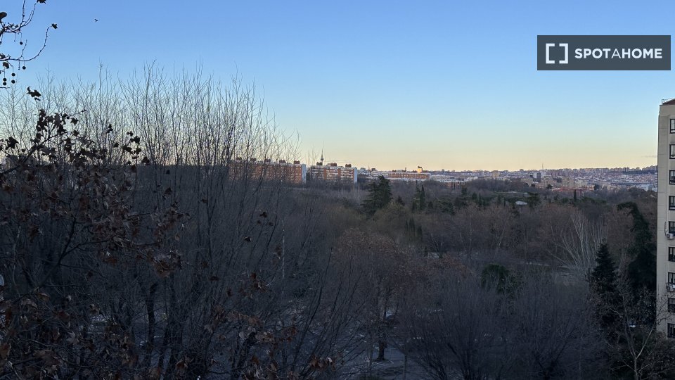 Double room Madrid, 5 beds, 110m² — photo 18