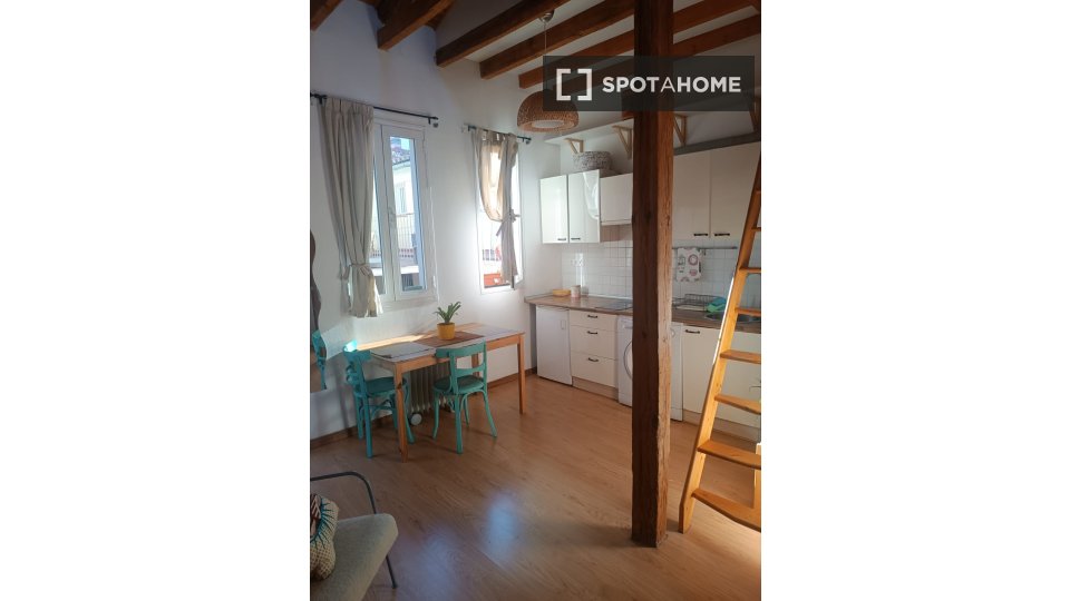 Apartment mono Madrid, 30m² — photo 11