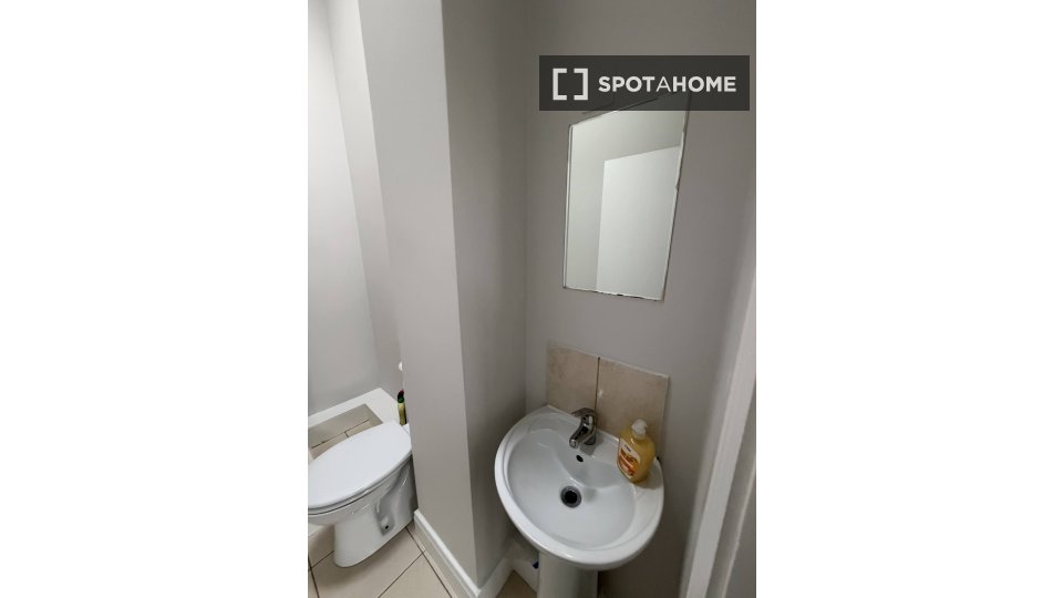 Double room Dublin, 7 beds, 108m² — photo 12