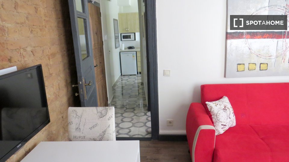 Apartment Istanbul, 1 bed, 55m² — photo 12