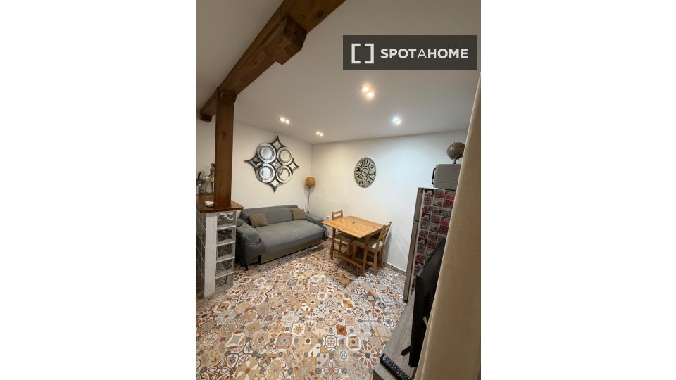 Apartment Madrid, 1 bed — photo 8