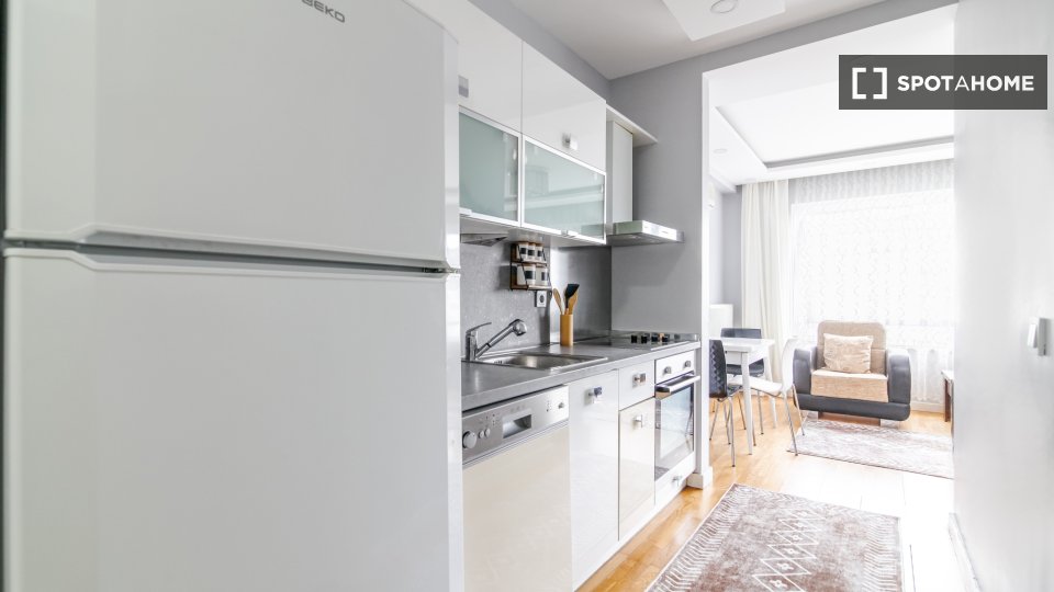 Apartment Istanbul, 1 bed — photo 6