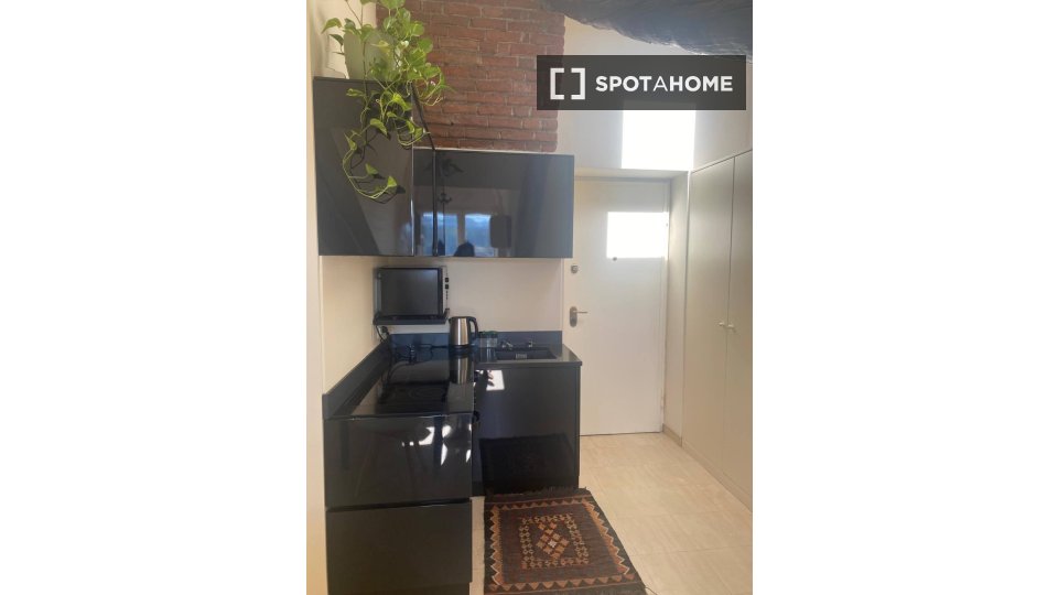 Apartment Turin, 1 bed — photo 20