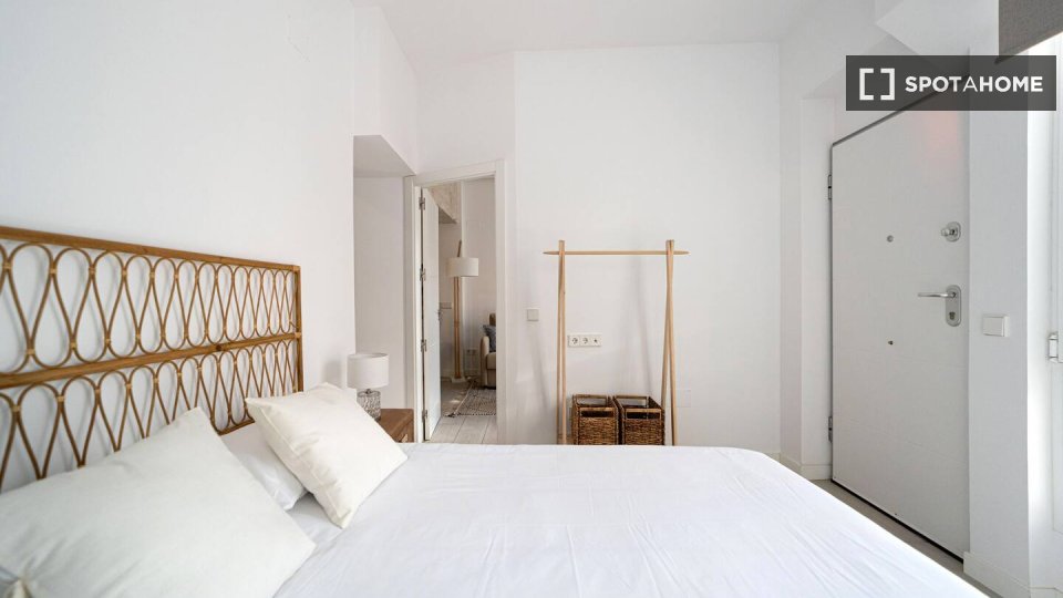 Apartment Madrid, 1 bed — photo 15