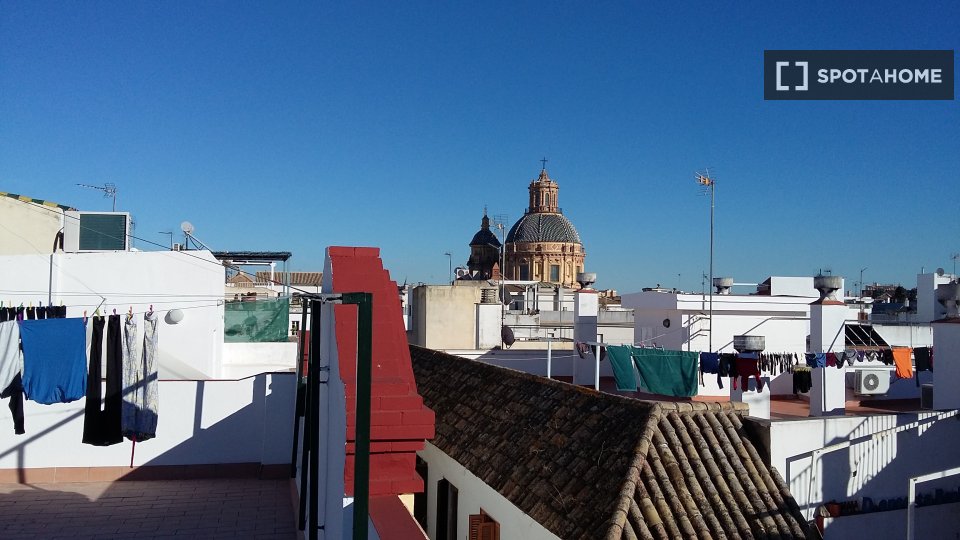 Apartment mono Seville — photo 4