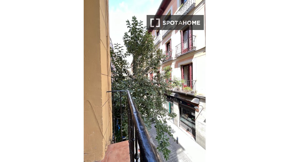 Double room Madrid, 3 beds — photo 2