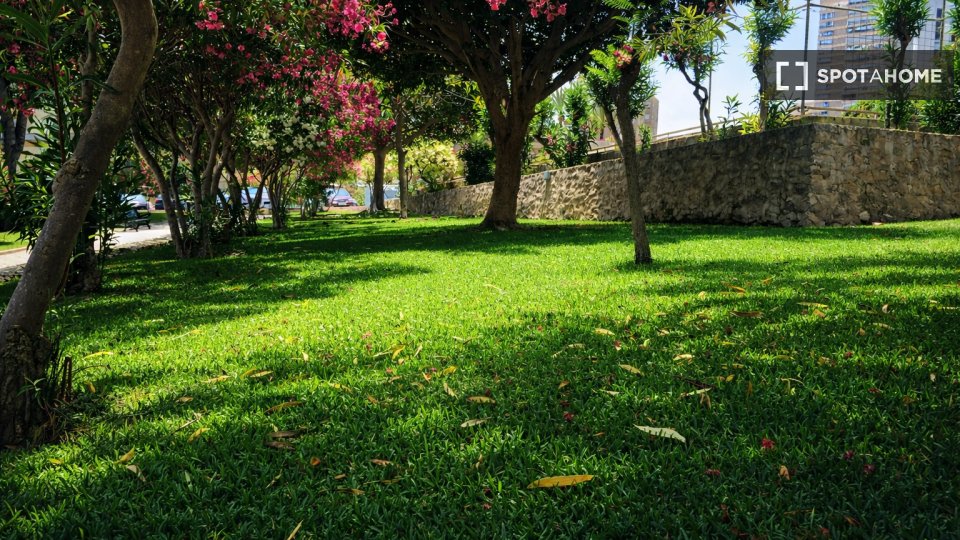Apartment Alicante, 2 beds, 35m² — photo 6