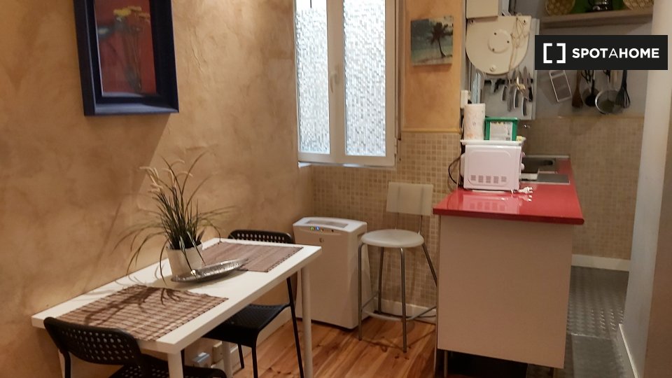 Apartment mono Madrid, 30m² — photo 15