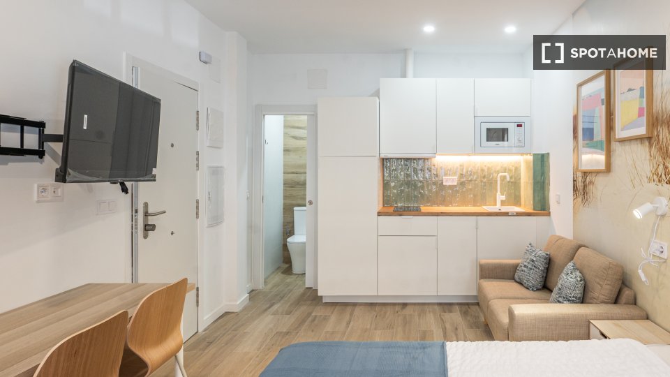 Apartment mono Madrid, 30m² — photo 6