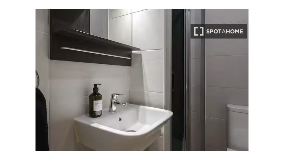 Double room Madrid, 2 beds — photo 15