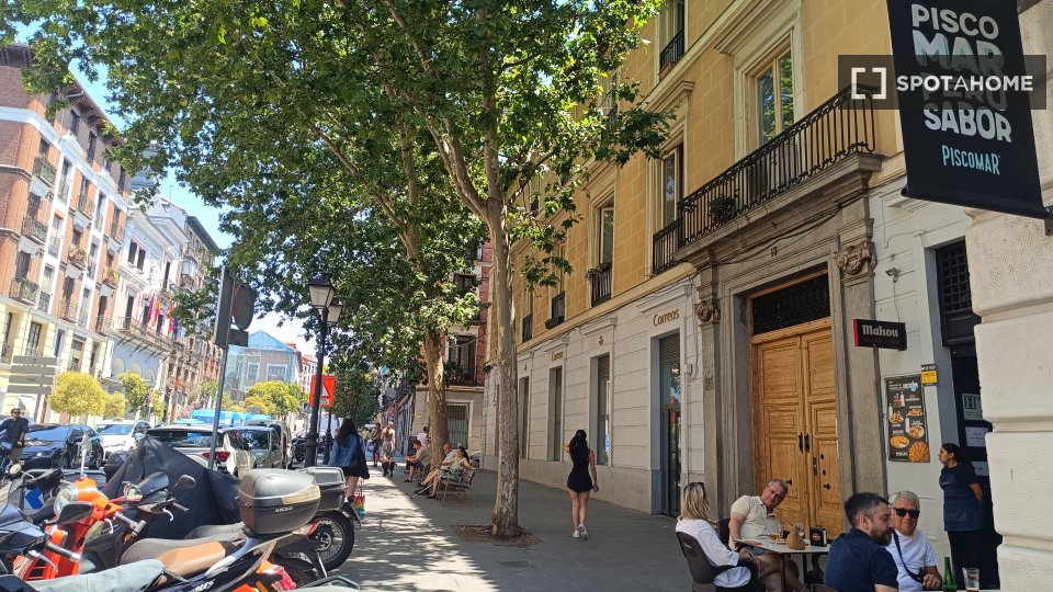Appartamento con 1 camera da letto in affitto a Palacio, Madrid - in Madrid