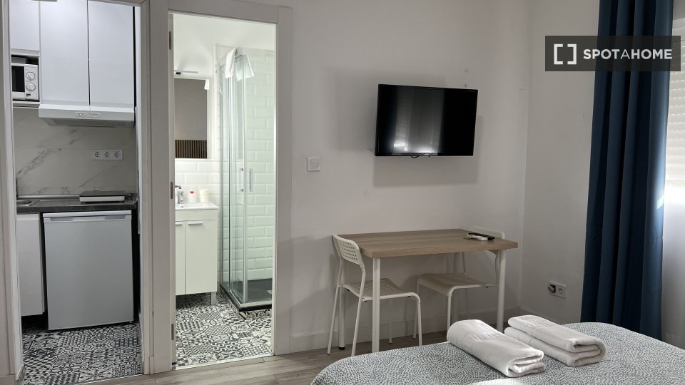 Apartment mono Madrid, 25m² — photo 7