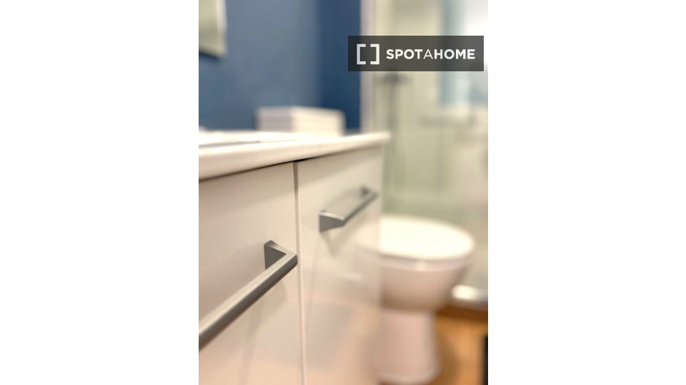 Double room Madrid, 7 beds, 160m² — photo 82