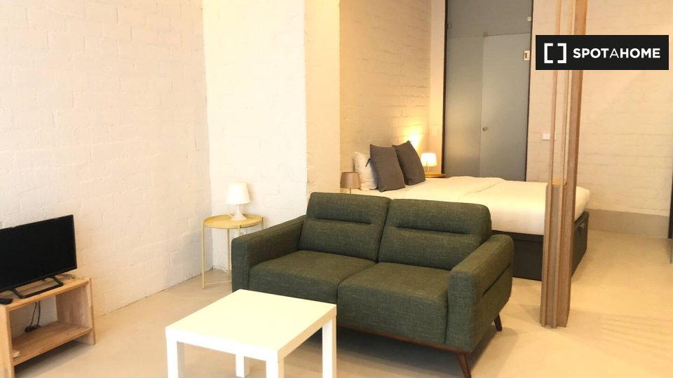 Apartment mono Madrid — photo 14