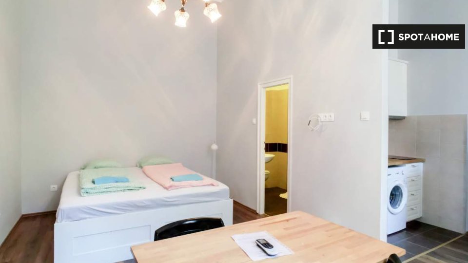 Apartment mono Budapest, 25m² — photo 7