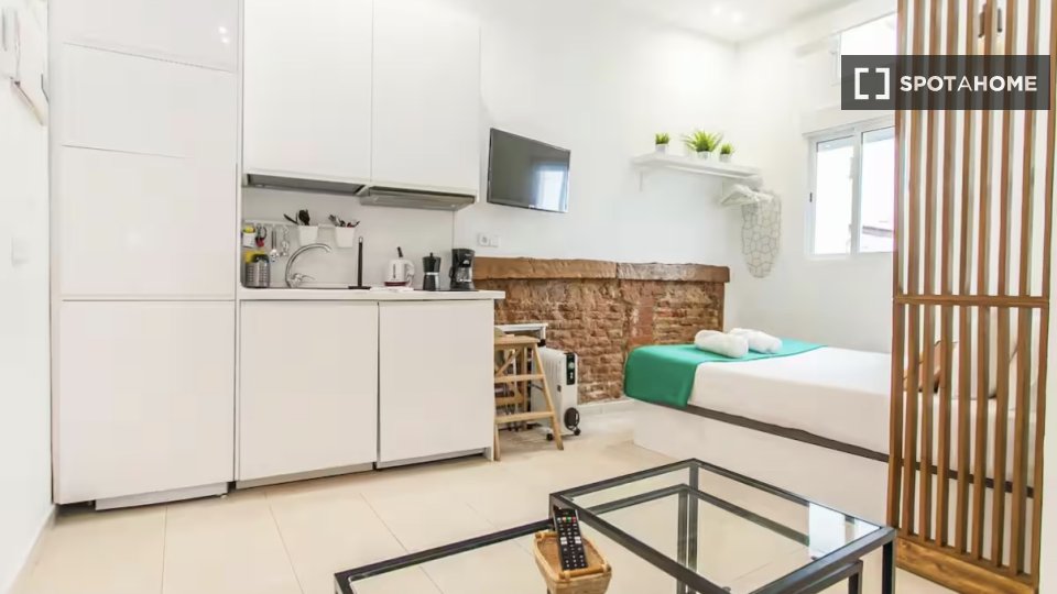 Apartment Madrid, 1 bed — photo 12