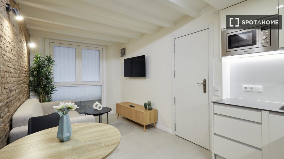 Apartment Barcelona, 1 bed, 40m² — photo 17