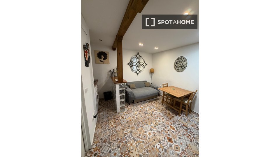 Apartment Madrid, 1 bed — photo 6