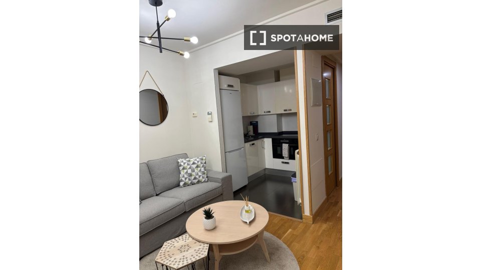 Apartment mono Madrid, 42m² — photo 5