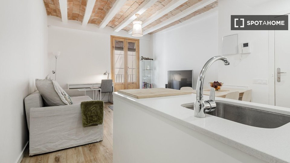 Apartment Barcelona, 2 beds — photo 35