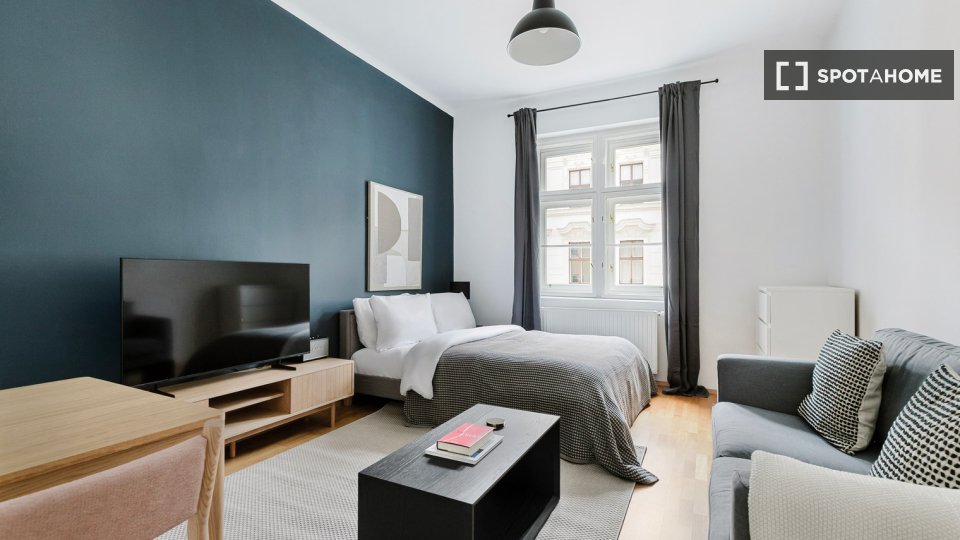 Apartment mono Vienna, 36m² — photo 1