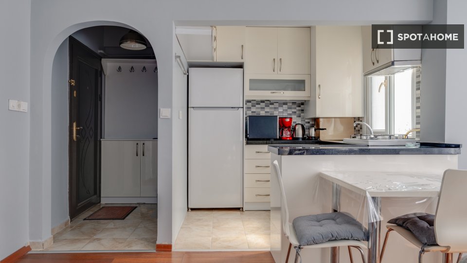 Apartment Istanbul, 1 bed — photo 2
