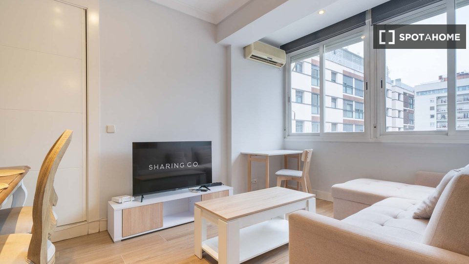 Apartment Madrid, 1 bed — photo 31