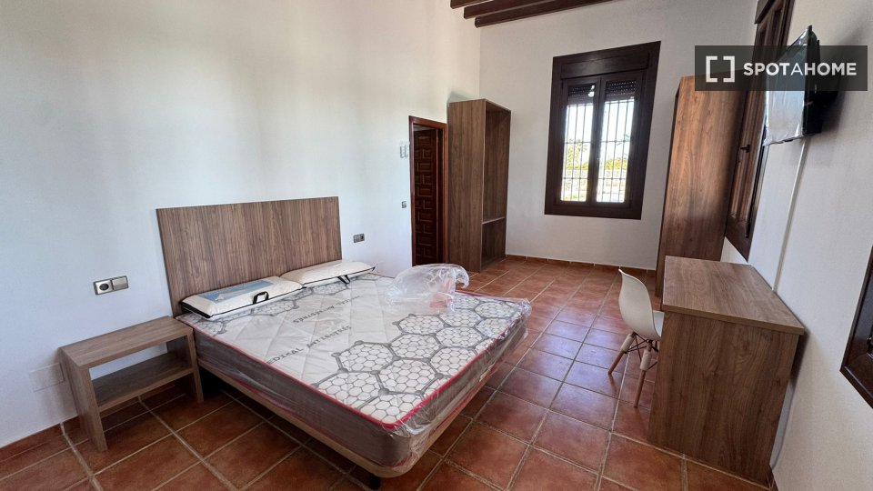 Double room Alicante, 10 beds, 650m² — photo 6