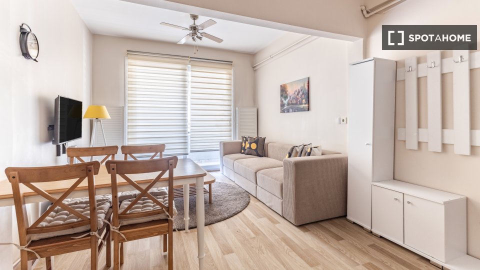 Apartment Istanbul, 1 bed — photo 6