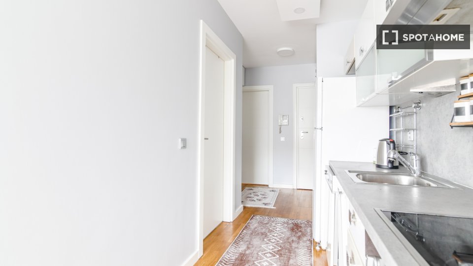 Apartment Istanbul, 1 bed — photo 17