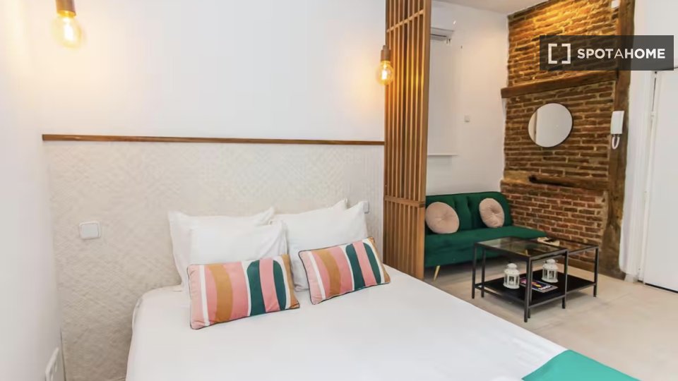 Apartment Madrid, 1 bed — photo 16