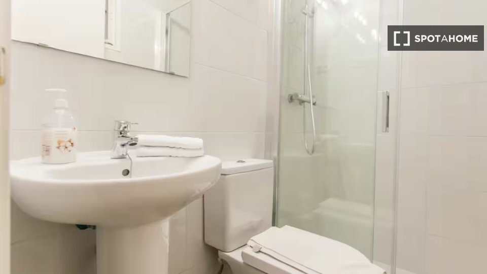 Apartment Madrid, 1 bed — photo 10